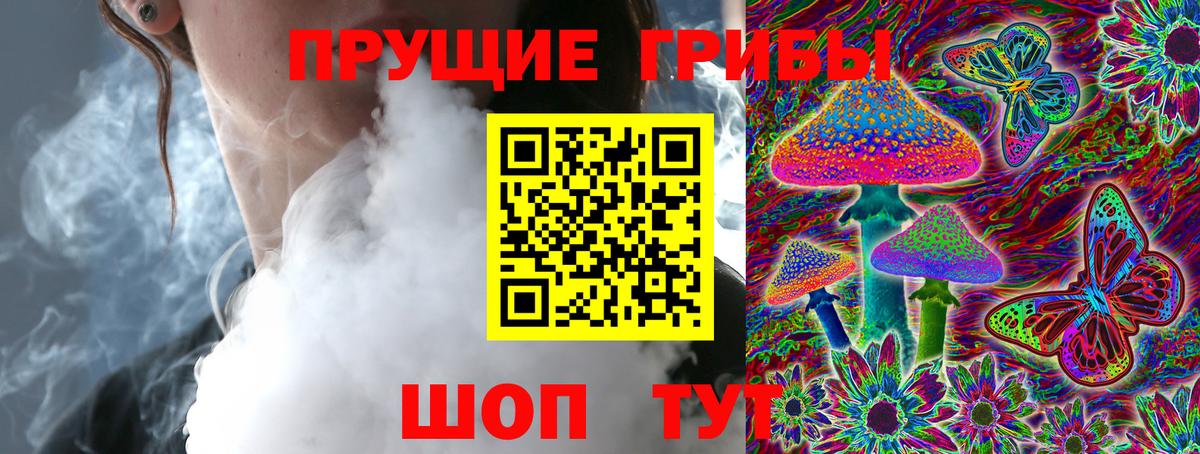 Галлюциногенные грибы Psilocybine cubensis  Вход с VPN  хочу   Благодарный 